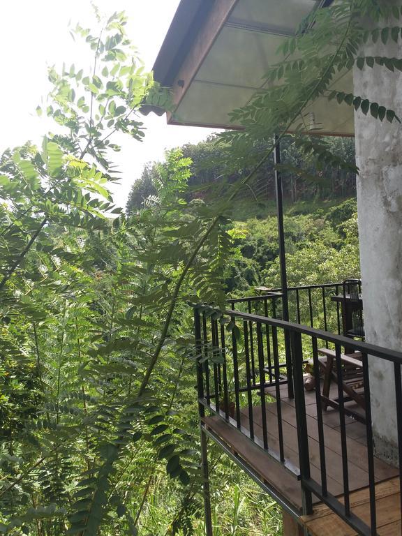 Green Lushy Home Stay Элла Экстерьер фото