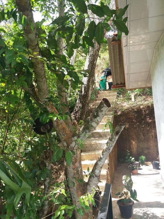 Green Lushy Home Stay Элла Экстерьер фото