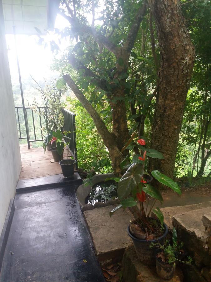Green Lushy Home Stay Элла Экстерьер фото