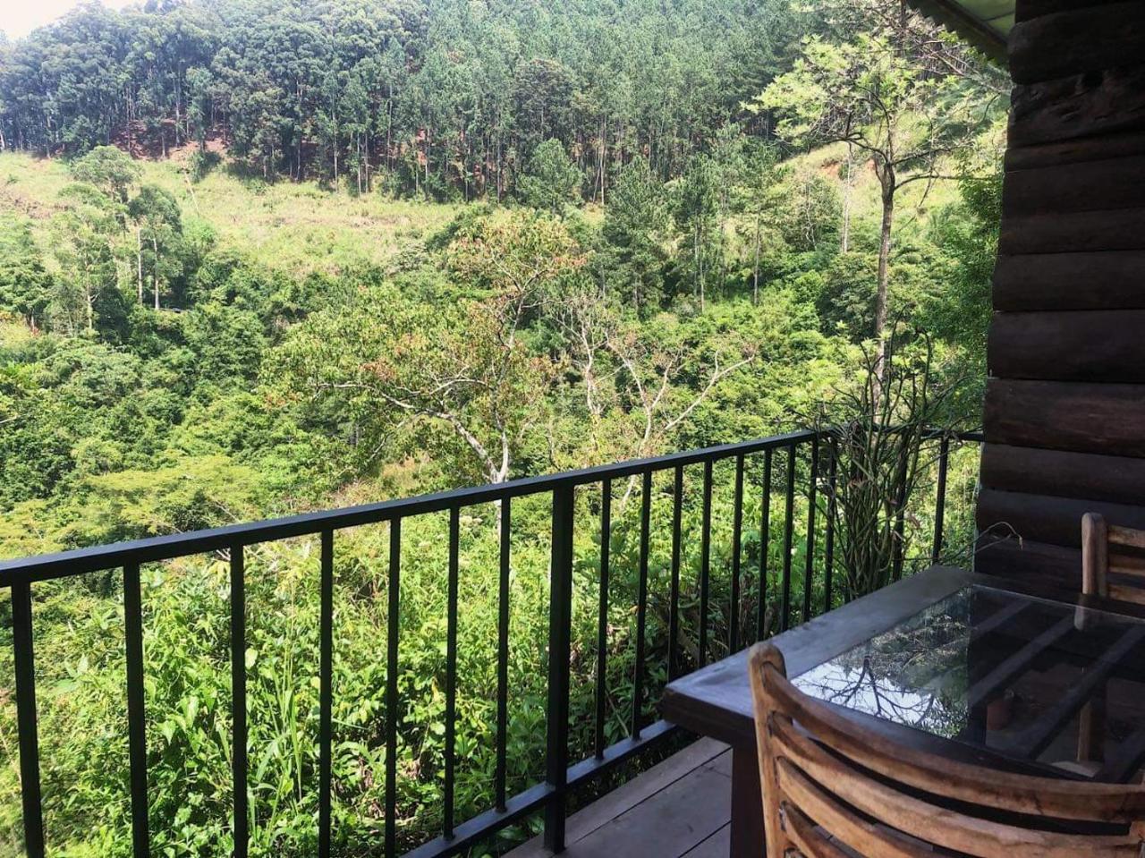 Green Lushy Home Stay Элла Экстерьер фото